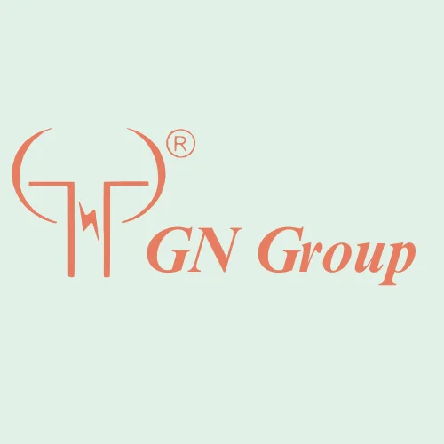 G.N. Group & Company - Logo 250 x 250